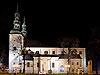 lowicz-cathedral-at-night