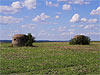Ostwall