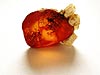 Amber from Baltic Sea