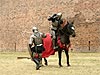 Knights' tournament in Golub-Dobrzyn castle