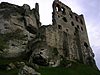 Ogrodzieniec pictures