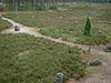 Pictures of Odry near Czersk