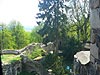 Picture of Ruins of castle Grodziec