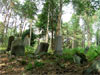 Pictures of Kruszyniany, Poland