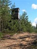 Hunting tower in Polish forest