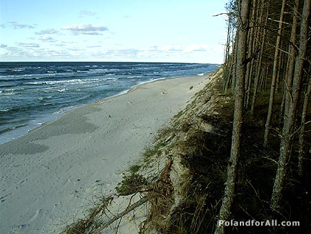 Baltic Sea coastline cliff