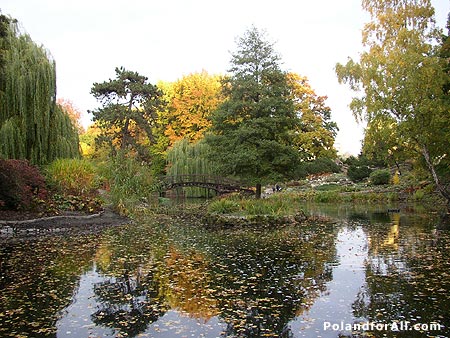 The Botanical Garden of Wroclaw