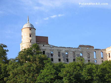 Castle ruins in Janowiec