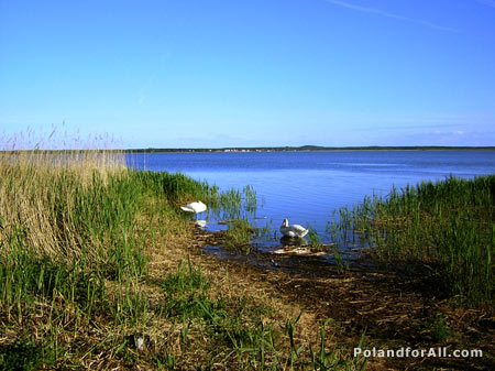 Slowinski National Park - Lebsko lake