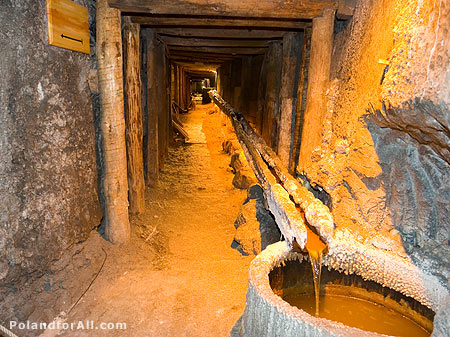 Wieliczka Salt Mine